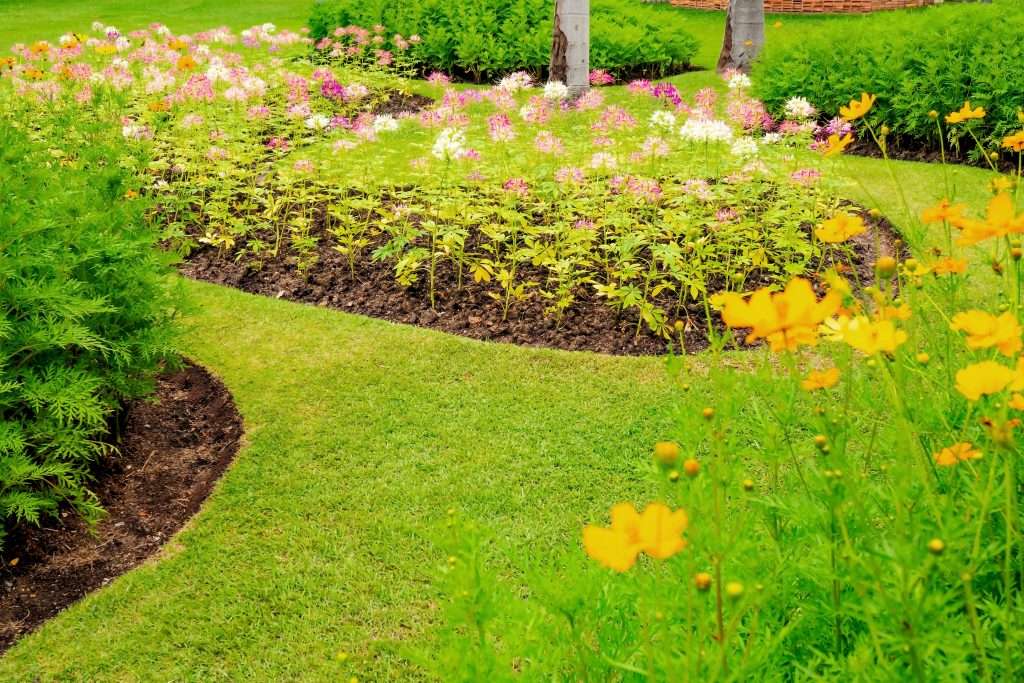 lawn turf and landscaping in Hampshire